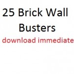 brickwallbuesters